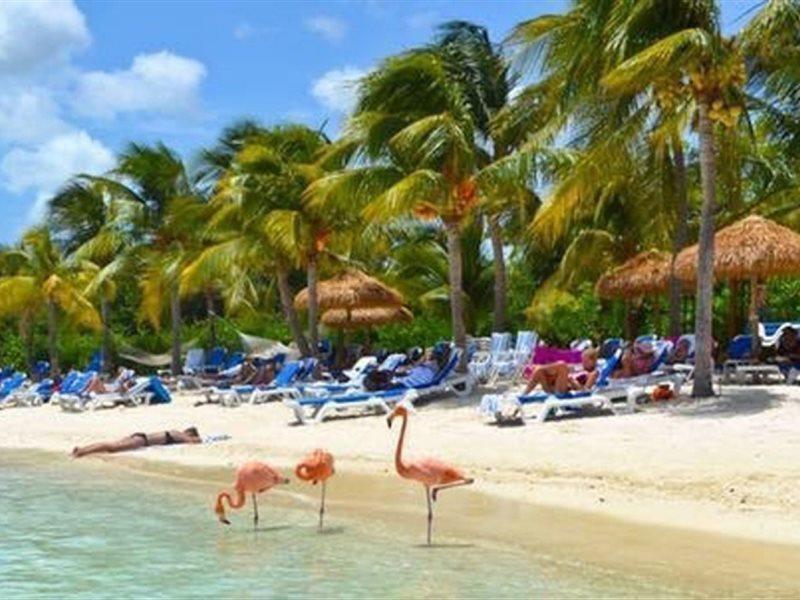 Aruba Blue Village Hotel And Apartments Palm Beach Eksteriør bilde