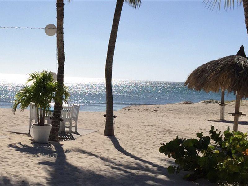 Aruba Blue Village Hotel And Apartments Palm Beach Eksteriør bilde